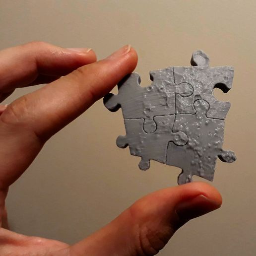 Puzzle Calibration Pieces 3D model
