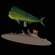 my_project-1-2.png mahi mahi / dorado / common dolphinfish underwater statue detailed texture for 3d printing