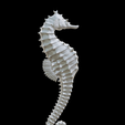 Capture-d’écran-2023-07-06-à-11.40.26.png seahorse