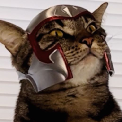 IMG_3299.jpeg Magnito Cat Helmet (X-Men)🪙