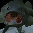 Bass-stocenej-12.png fish bass trophy statue detailed texture for 3d printing