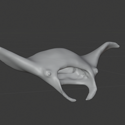 Manta-Ray-Front.png Manta raya gigante