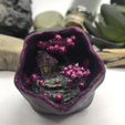 CrystalWitchFinish.png The "Crystal Witch Cottage" D20 Dice Insert