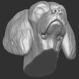 14.jpg Spaniel Cavalier dog head for 3D printing