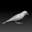 bird3.jpg Bird - Bird decorative - Bird mod