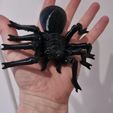 Articulated Spider 3D Print Model