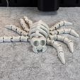 IMG_6811.jpg Flexi Esqueleto Araña V1