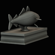 coalfish-statue-box-1-37.png fish coalfish / Pollachius virens with storage space / for 3d printing