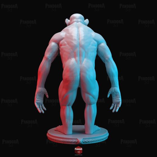 Monkey_05.jpg Monkey anatomy