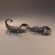Emperor_scorpion_2.jpg 3D file Emperor scorpion for 3D printing - pre supported・3D print design to download