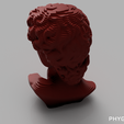 DAVID_03.png Parametric Head of David Digital File Package for 3D Printing/CNC/Laser