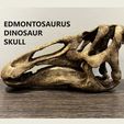 IMG_0972.jpg Edmontosaurus skull - Dinosaur