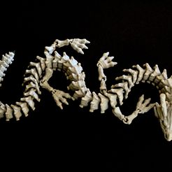 IMG_1895.jpg Squelette de dragon articulé