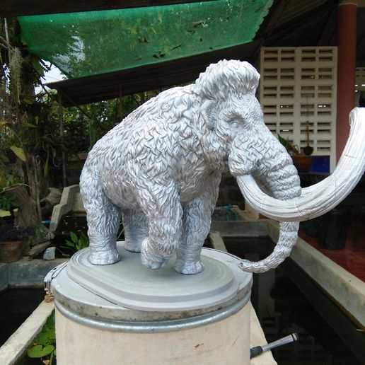 IMG20190514164520.jpg Mammouth