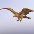 Screenshot_9.png Flying Eagle - Low Poly