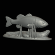 bass-na-podstavci-16.png bass underwater statue detailed texture for 3d printing