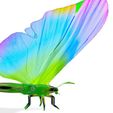 hg.jpg DOWNLOAD BUTTERFLY  COLECTION 3D MODEL ANIMATED - MAYA - BLENDER 3 - 3DS MAX - UNITY - UNREAL - CINEMA 4D -  3D PRINTING - OBJ - FBX - 3D PROJECT CREATE AND GAME READY BUTTERFLY