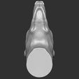 26.jpg Dobermann head for 3D printing