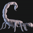 05.png Scorpion