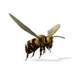 UP.jpg DOWNLOAD BEE 3D Model BEE - Obj - FbX - 3d PRINTING - 3D PROJECT - BLENDER - 3DS MAX - MAYA - UNITY - UNREAL - CINEMA4D - BEE GAME READY - POKÉMON - RAPTOR