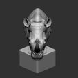 04.jpg Rhino
