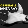 01_manta-ray-mantas-3d-print-aquarium-3d-model-2c5b7a9fa4.jpg Manta Ray - Mantas - 3D Print - Aquarium