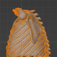 15.png 3D Model of Heart in Thorax