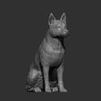 Australian-Cattle-Dog-sitting8.jpg Australian Cattle Dog Sitting Pose STL 3D print model