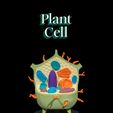 Plant-Cell-thumb.jpg Plant Cell