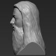 4.jpg Dumbledore from Harry Potter bust 3D printing ready stl obj