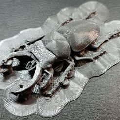 🪲 Collection • 3D files for 3D printing of insects and bugs — 92 ...