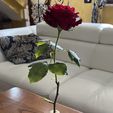 IMG_5029.jpg Flower vial vase
