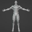 Captura-de-pantalla-2022-05-11-120008.jpg Male Body Human Model | Male Body Human Model