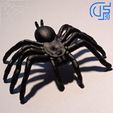WhatsApp-Image-2024-03-16-à-22.53.29_a761b058.jpg Tarantula spider
