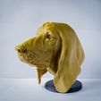 20210428_115916.jpg STL file Basset Hound・Model to download and 3D print