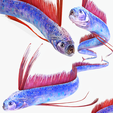 portada-gr343.png DOWNLOAD Hairtail DOWNLOAD FISH DINOSAUR DINOSAUR Hairtail FISH 3D MODEL ANIMATED - BLENDER - 3DS MAX - CINEMA 4D - FBX - MAYA - UNITY - UNREAL - OBJ -  Hairtail FISH DINOSAUR