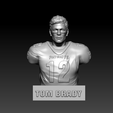 full.png NFL - TOM BRADY - Super Bowl MVP - 3d Print