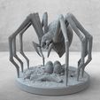 untitled.25.jpg Weaver-Giant Spider