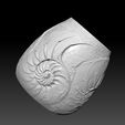 BPR_Composite6.jpg Ammonite vase (shell)