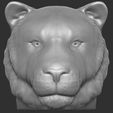 2.jpg Tiger head for 3D printing