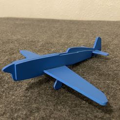 IMG_2601.jpg Free STL file Caudron C460 silhouette aircraft・3D printer model to download