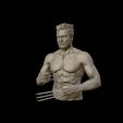 23.jpg Hugh Jackman 3D print model