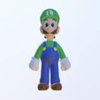 IMG_9733.jpg Luigi