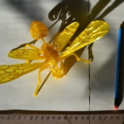 DSC_8103.JPG Free 3D file bee puzzle・3D printable model to download