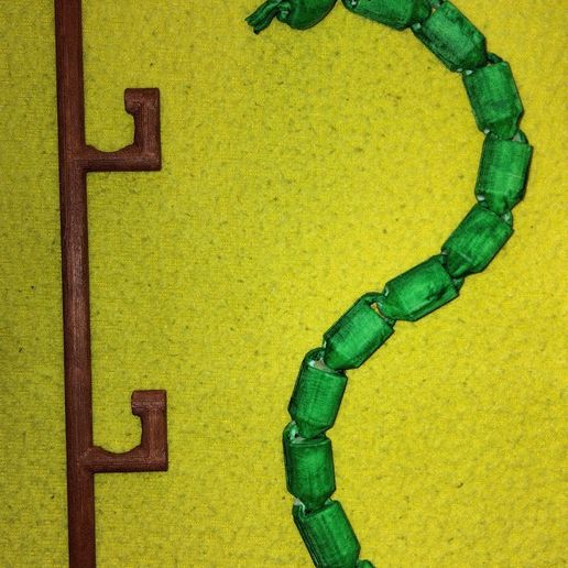 IMG20220829145117.jpg FLOR CARNIVORA REGADIO