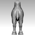 camel7.jpg camel