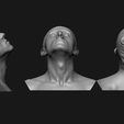 neck-anatomy-reference-set-3d-model-48e9dad333.jpg Neck Anatomy Reference Set