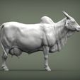 indian-cow5.jpg Indian cow 3D print model