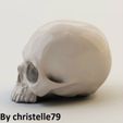 product_image_14566.jpg Human Skull