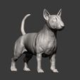 bull-terrier9.jpg bull terrier 3D print model